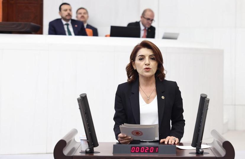 CHP’li Kış: İUP velilere yeni bir yük